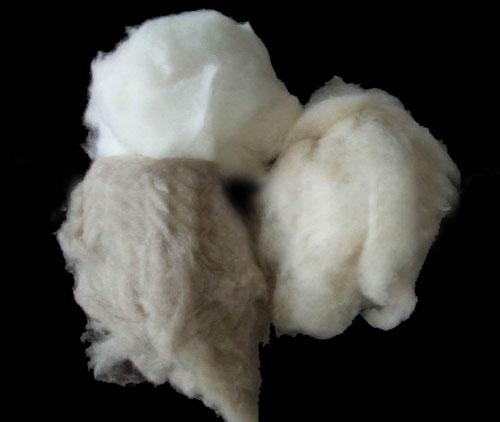 dehaired cashmere fibers  Made in Korea